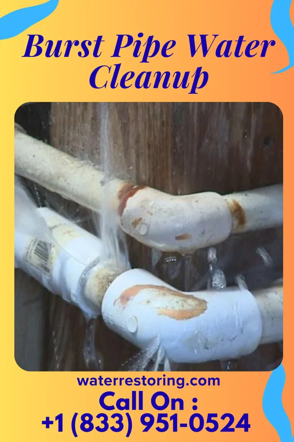 Burst Pipe Water Cleanup in Baltimore, OH