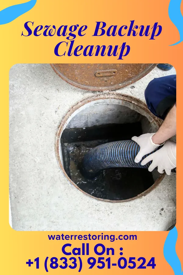 Sewage Backup Cleanup in Baltimore, OH